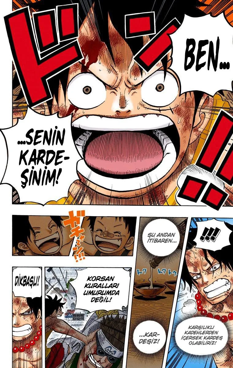 One Piece - Bölüm 558 - Sayfa 10