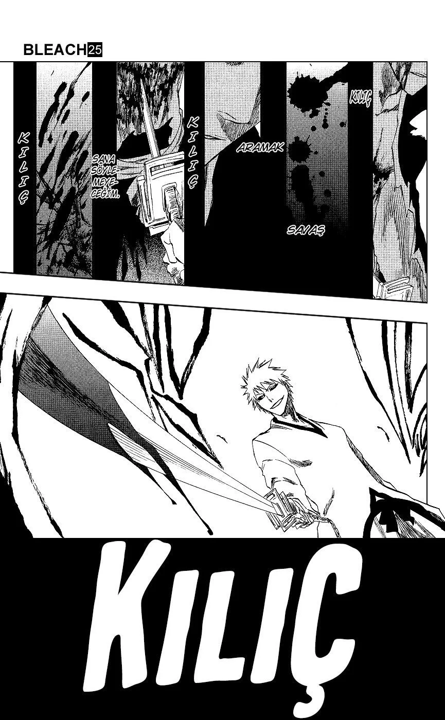 Bleach - Bölüm 220 - Sayfa 16