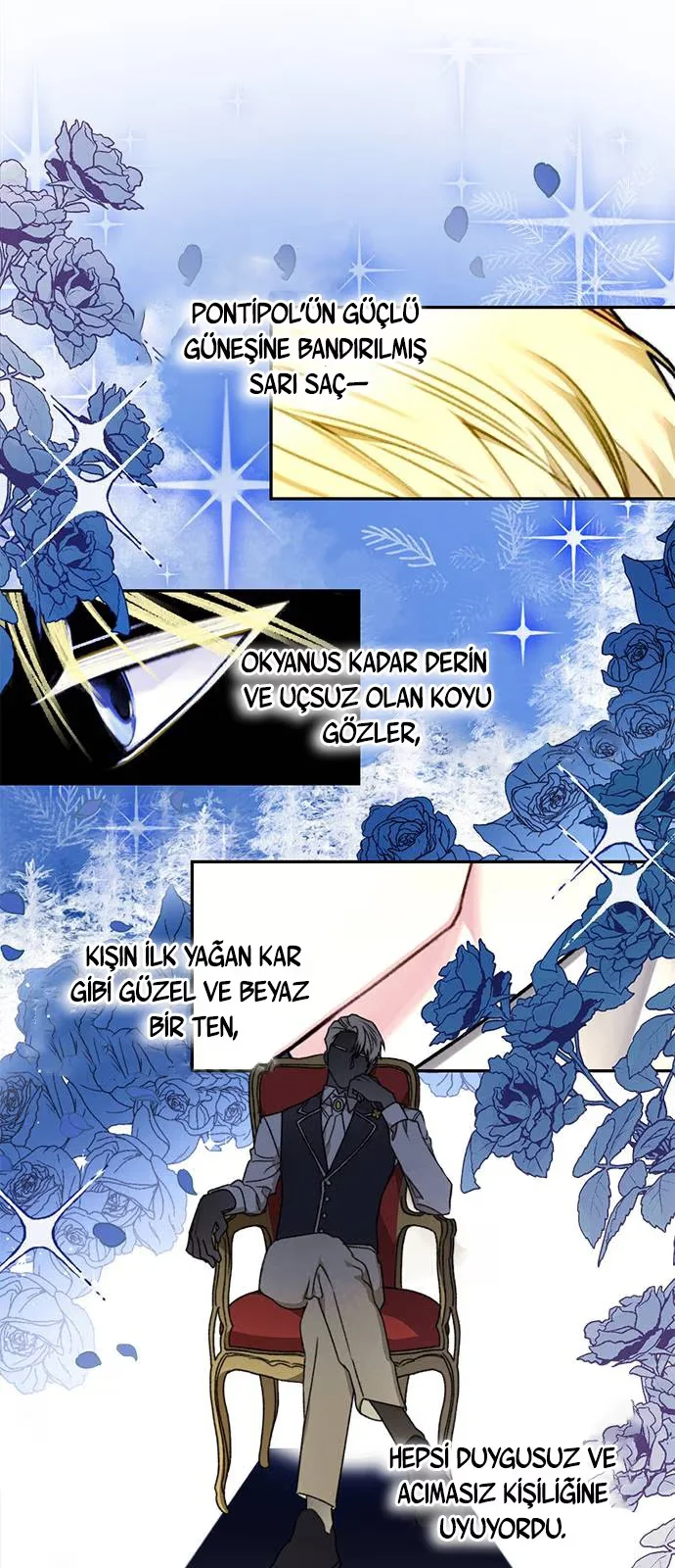 Tricked into Becoming the Heroine's Stepmother - Bölüm 1 - Sayfa 29