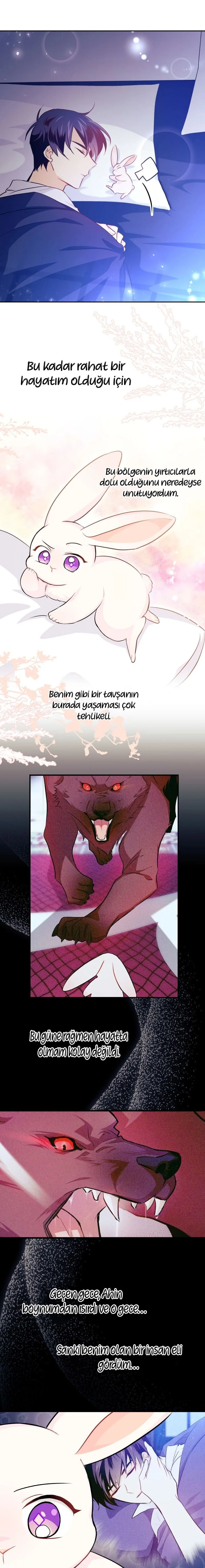 The Symbiotic Relationship Between the Rabbit and the Black Panther - Bölüm 16 - Sayfa 9