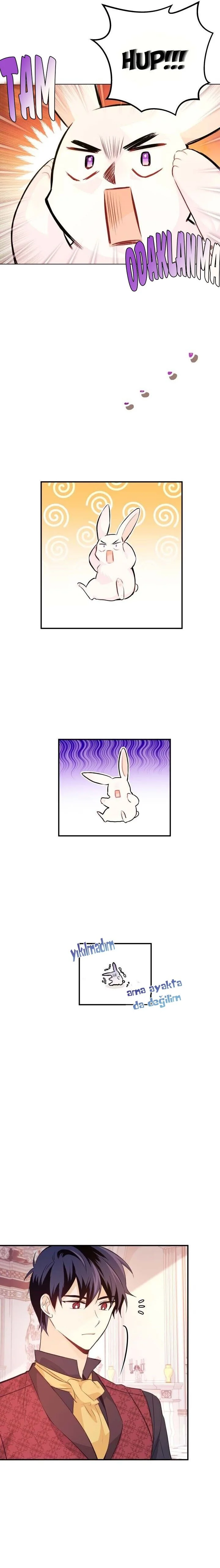 The Symbiotic Relationship Between the Rabbit and the Black Panther - Bölüm 5 - Sayfa 14