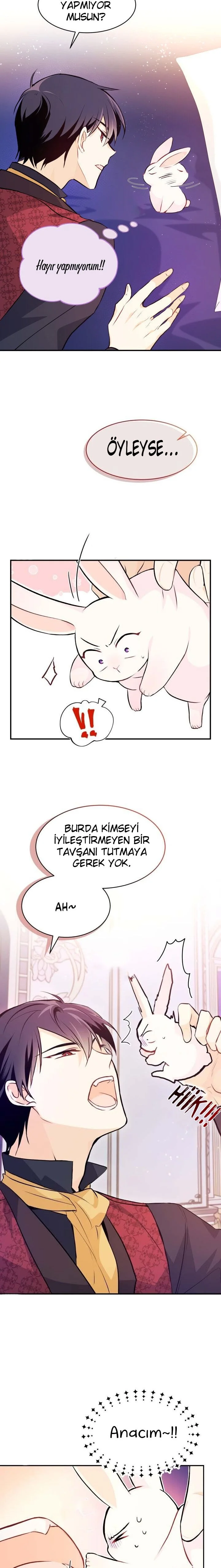 The Symbiotic Relationship Between the Rabbit and the Black Panther - Bölüm 5 - Sayfa 17