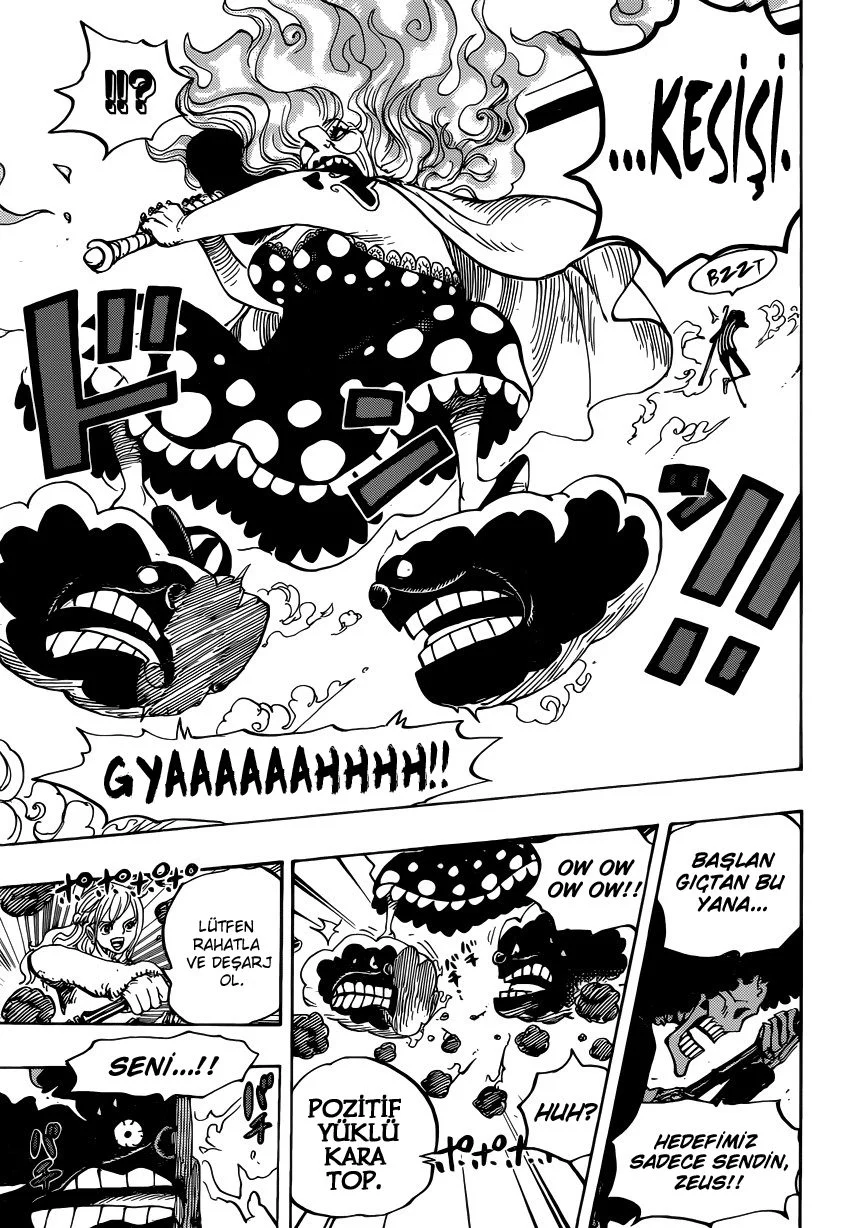 One Piece - Bölüm 890 - Sayfa 14